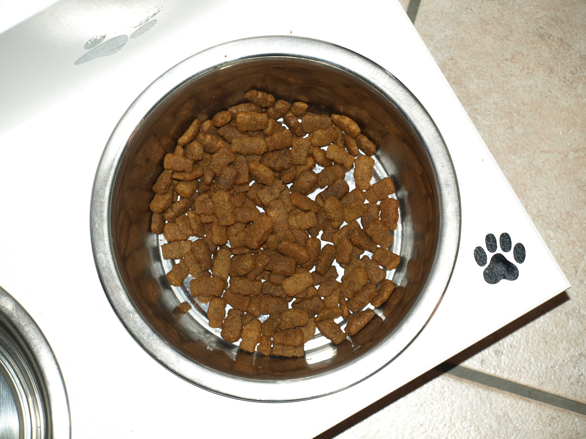 Vademecum Per La Scelta Di Un Buon Pet Food E Marchi