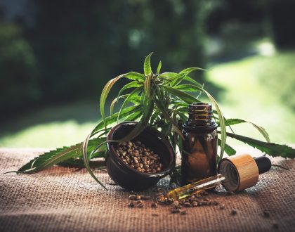 Proprietà e uso del CBD oil negli animali domestici